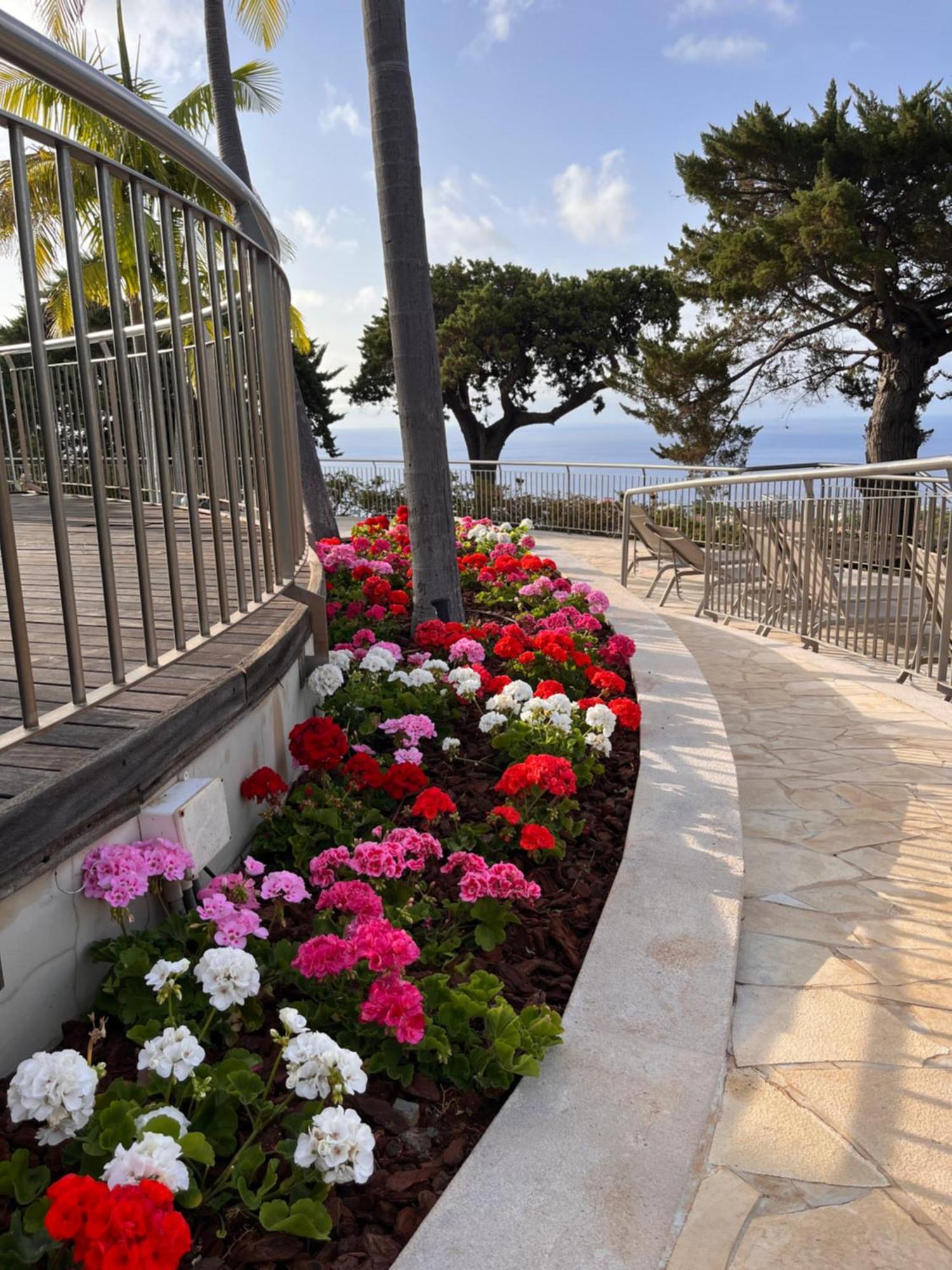 Quinta Funchal Gardens - Adults Only Hotel Ngoại thất bức ảnh